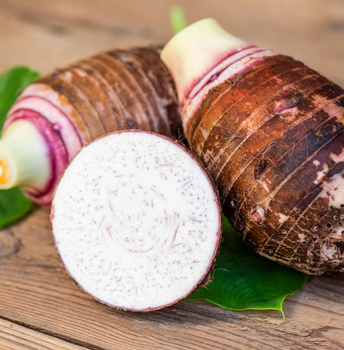 Fresh Tongan Taro Roots - Hineni Distributor - Australia